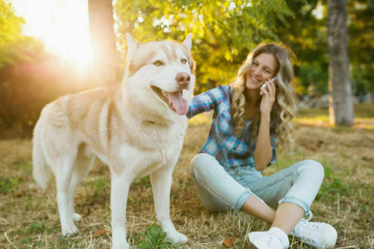 a person sitting on the ground with a dog