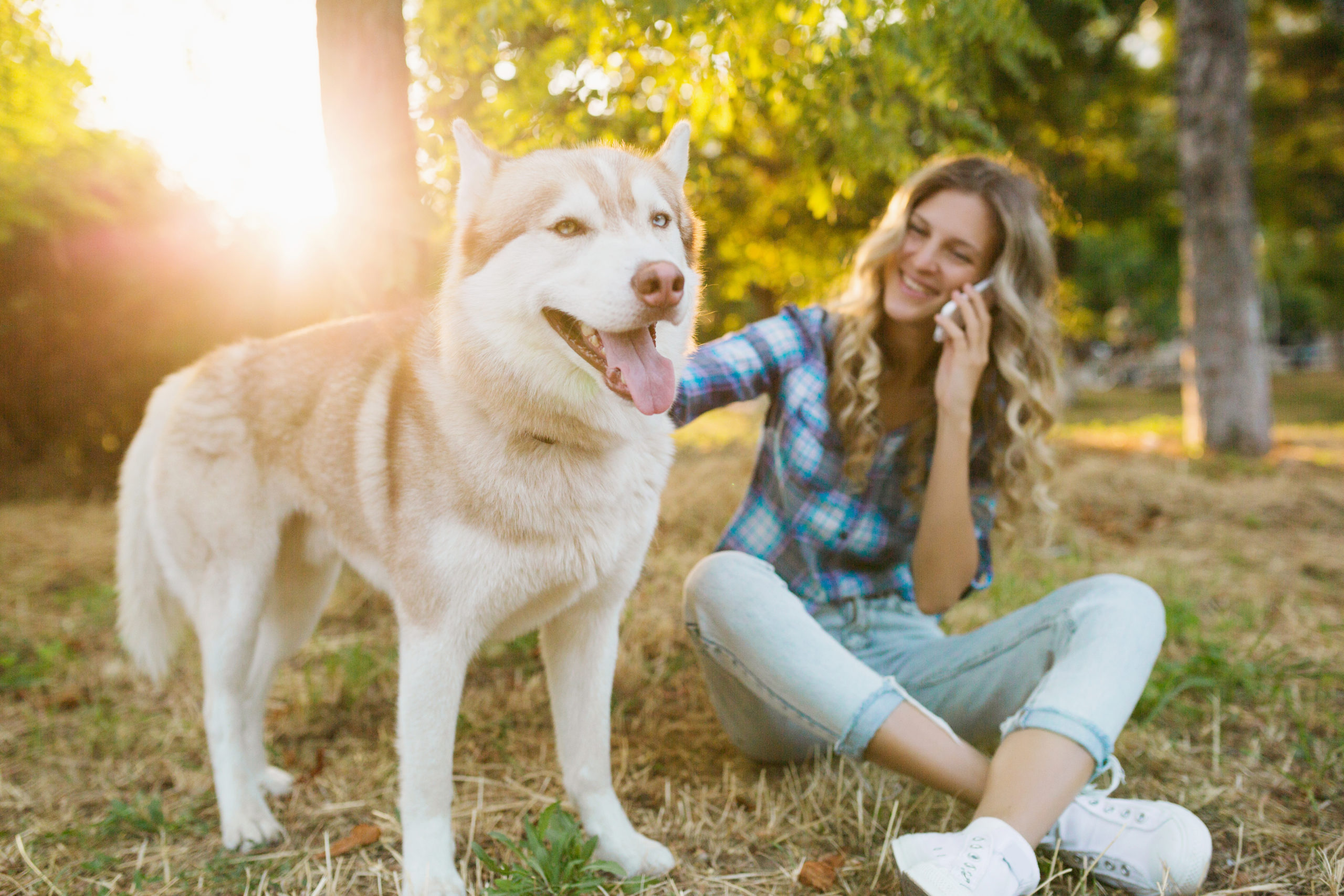 a person sitting on the ground with a dog