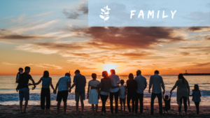 a group of people standing on a beach looking at the sunset